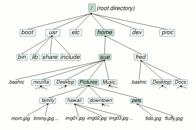 File System Tree